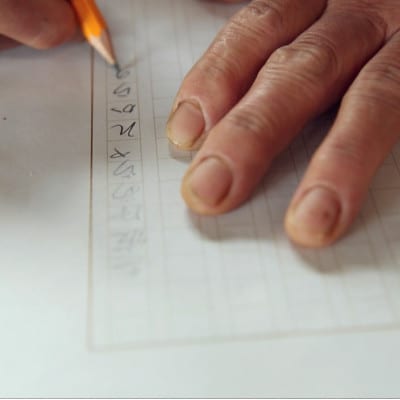 【毎月定期便】旬の朝採れ土佐野菜詰め合わせ(10～13品目)全6回