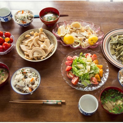 【毎月定期便】旬の朝採れ土佐野菜詰め合わせ(10～13品目)全6回