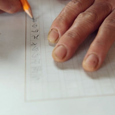 【毎月定期便】旬の朝採れ土佐野菜詰め合わせ(10～13品目)全12回