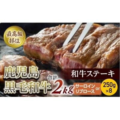 【高級部位】鹿児島黒毛和牛ステーキ250g×8合計2Kg(サーロインorリブロース)【尾崎牧場】