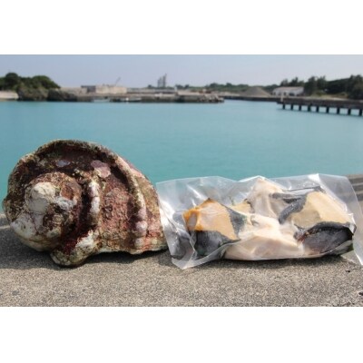 夜光貝の刺身 1パック(500g)【真空冷凍】