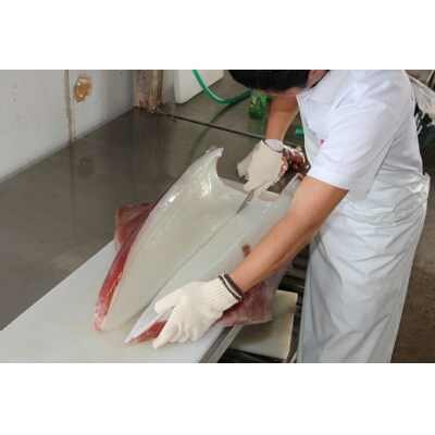 冷凍ソデイカ 500g 3 4人前 お礼品詳細 ふるさと納税なら さとふる