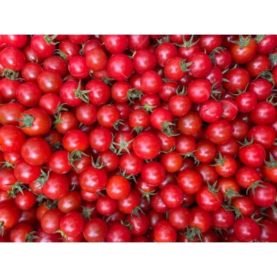 喜界島産ミニトマト 1kg まぁむんfarm お礼品詳細 ふるさと納税なら さとふる
