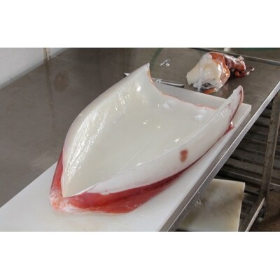 真空冷凍 夜光貝の刺身1kg ソデイカ1kgセット 22年11月発送 お礼品詳細 ふるさと納税なら さとふる