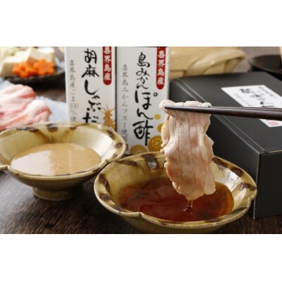 【大人気】『胡麻しゃぶだれ』と『島みかんぽん酢』セット