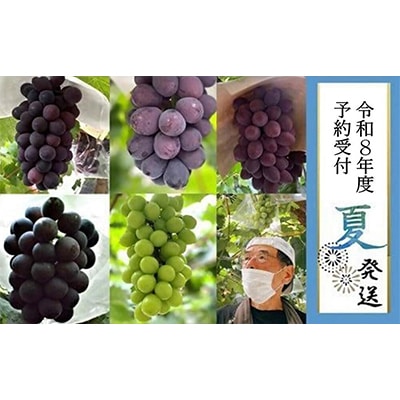 �y�L�ˎs�Y�z�����Ԃǂ�3�퐷���킹3�`4�[����2kg�@�ߘa8�N�x�����\��8�����{�ȍ~��������