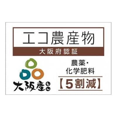 【貝塚市産】特選シャインマスカット約1.4kg 2024年8月より発送