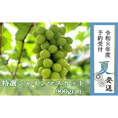 �y�L�ˎs�Y�z���I�V���C���}�X�J�b�g900g�ȏ�@�ߘa8�N�x�����\��8�����{�ȍ~��������