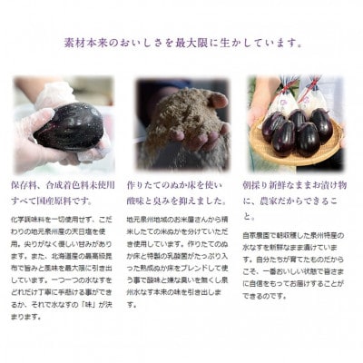 中出農園　泉州水なす漬10個入り/先行受付・令和6年5月初旬～順次発送、大好評の大阪夏の味　農家直送