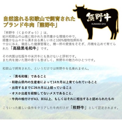 『夢一喜』熊野牛100%　焼ハンバーグ6個/温めるだけでソースなしでも美味しい!140g×6個・冷凍