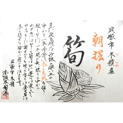 【令和6年春発送予定】貝塚市木積産特選朝掘り筍　約2kg　朝掘りたて!