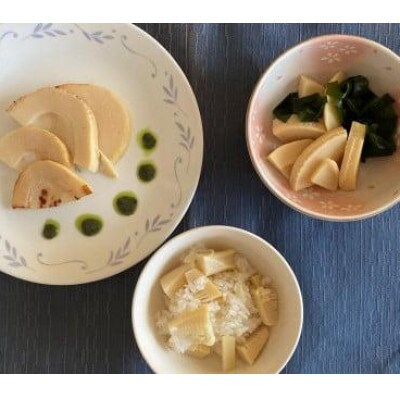 【令和6年春発送予定】貝塚市木積産特選朝掘り筍　約2kg　朝掘りたて!