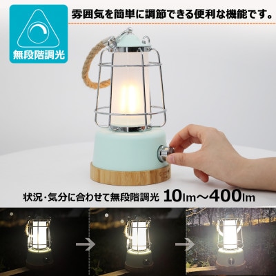 LEDランタン 調光 乾電池&充電兼用 電球色 昼光色 無段階調整 DS-8E-MGN