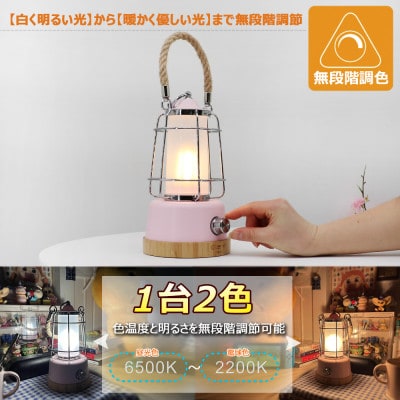 LEDランタン 調光 乾電池&充電兼用 長点灯 電球色 昼光色 無段階調整 DS-8E-SPK