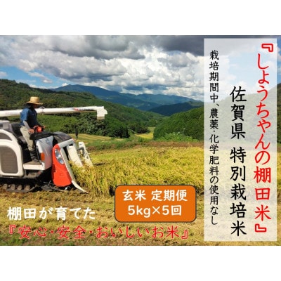 【毎月定期便】『しょうちゃんの棚田米』栽培期間中農薬使用なし 玄米5kg全5回