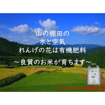 【毎月定期便】『しょうちゃんの棚田米』栽培期間中農薬使用なし 玄米5kg全5回