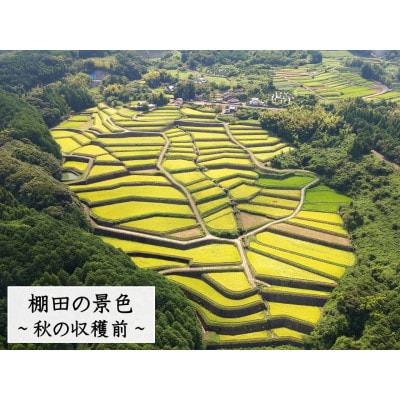 【毎月定期便】『しょうちゃんの棚田米』栽培期間中農薬使用なし 玄米5kg全5回
