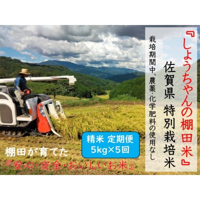 【毎月定期便】『しょうちゃんの棚田米。』栽培期間中農薬使用なし　精米5kg×全5回