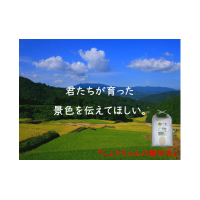 【毎月定期便】『しょうちゃんの棚田米。』栽培期間中農薬使用なし 玄米5kg×全5回