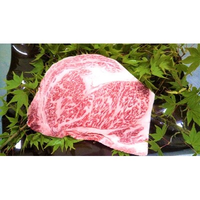 佐賀県産 特選がばいA5ランク ロースブロック 2.5kg