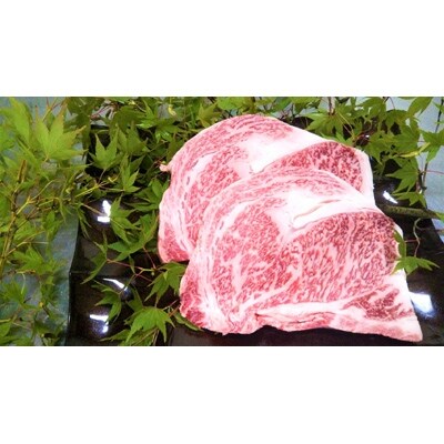 佐賀県産 特選がばいA5ランク ロースブロック 2.5kg