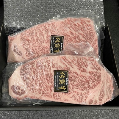 【発送月固定定期便】佐賀牛 ロースステーキ A5ランク 250g×2枚 (多久市)偶数月全6回