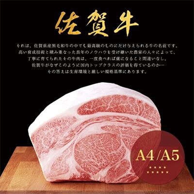 2022年12月発送開始『定期便』佐賀牛A5サーロインステーキ250g×2枚(合計500g)全12回