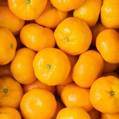 佐賀産ハウスみかん約5kg箱(多久市)