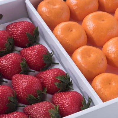 【12月上旬より順次発送】佐賀産いちご(12‐15粒)&みかん(12‐15玉)(多久市)