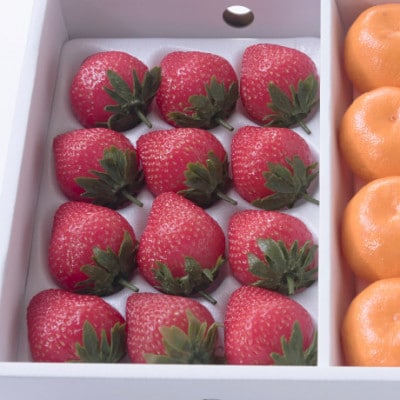 【12月上旬より順次発送】佐賀産いちご(12‐15粒)&みかん(12‐15玉)(多久市)