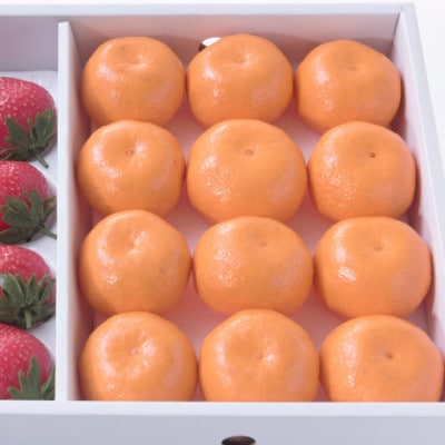 【12月上旬より順次発送】佐賀産いちご(12‐15粒)&みかん(12‐15玉)(多久市)