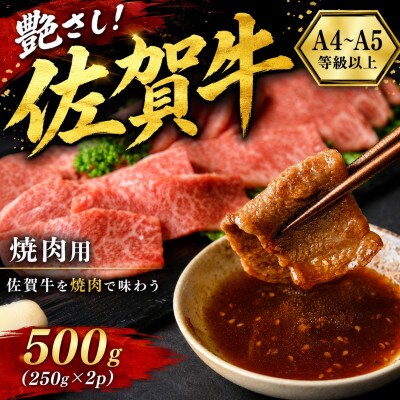 艶さし!【A4～A5】佐賀牛焼肉用　500g(250g×2p)(多久市)