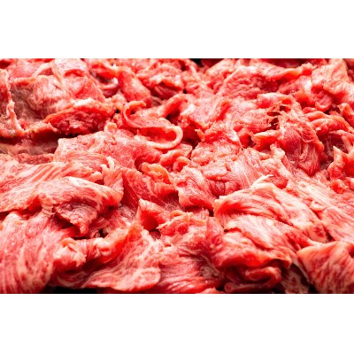 2023年6月発送開始『定期便』艶さし!佐賀牛切り落とし　1kg(500g×2p)(多久市)全6回