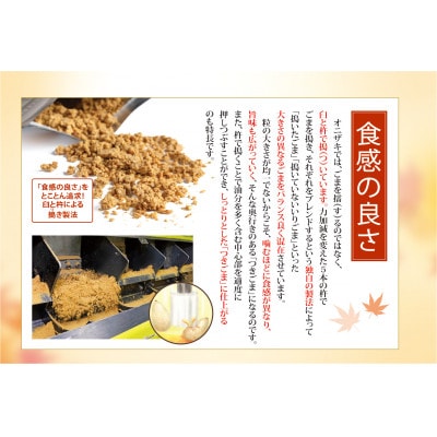 オニザキ　せんべいセット1