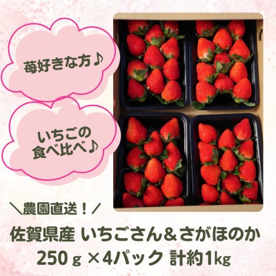 �yR8�N1�����珇�������z 䕂̐H�ה�� 1kg�y���ꌧ�Y�����ق̂�&����������z(���v�s)