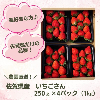 【R8年2月から順次発送】 いちごさん♪ 4パック 1kg【佐賀県だけの苺】(多久市)