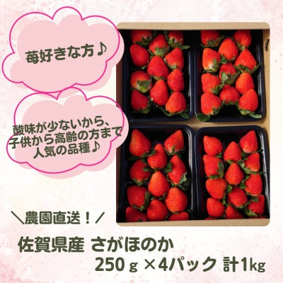 �yR8�N2�����珇�������z���ꌧ�Y�����ق̂� 4�p�b�N 1kg�y�_�������z(���v�s)