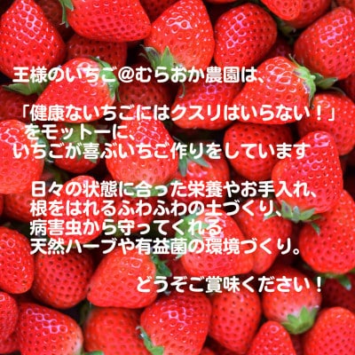 【R8年2月より順次発送】朝摘みいちご 佐賀県産いちごさん 約500g(約250g×2)(多久市)