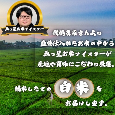 令和7年産 夢しずく白米10kg(5kg×2袋)(多久市)