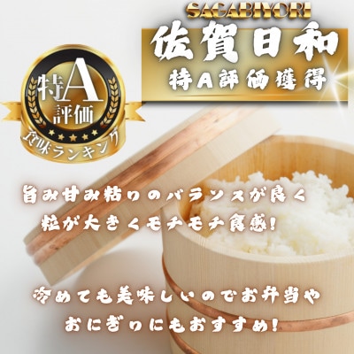 令和7年産【無洗米食べ比べ】さがびより・夢しずく各5kg(計10kg)(多久市)