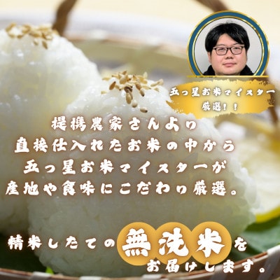 【毎月定期便】【無洗米】さがびより3kg(多久市)全3回