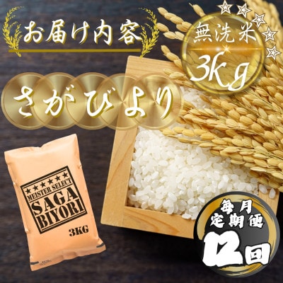 【毎月定期便】【無洗米】さがびより3kg(多久市)全12回
