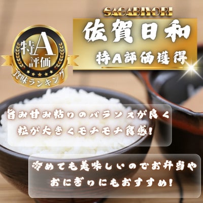 【毎月定期便】【無洗米】さがびより3kg(多久市)全5回