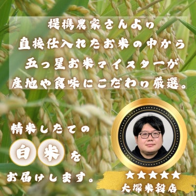 【毎月定期便】さがびより白米6kg(3kg×2袋)(多久市)全6回