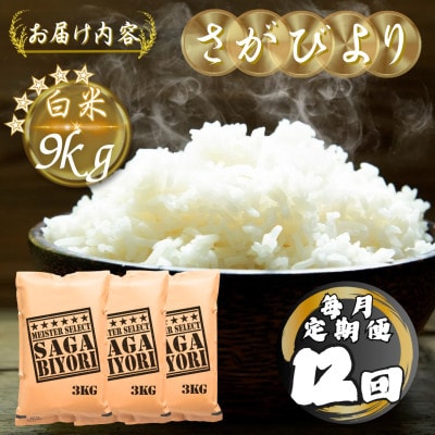 【毎月定期便】さがびより白米9kg(3kg×3袋)(多久市)全12回