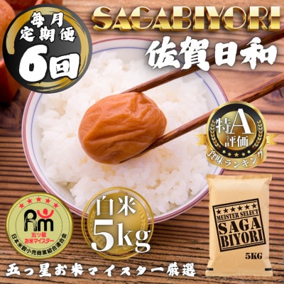 【毎月定期便】さがびより白米5kg(多久市)全6回