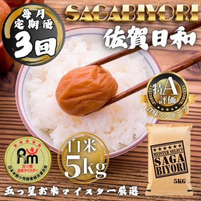 【毎月定期便】さがびより白米5kg(多久市)全3回