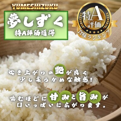 【毎月定期便】夢しずく白米9kg(3kg×3袋)(多久市)全10回
