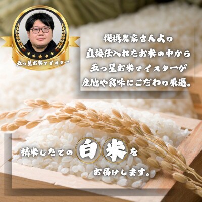 【毎月定期便】夢しずく白米9kg(3kg×3袋)(多久市)全10回