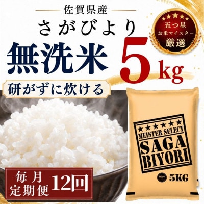 【毎月定期便】【無洗米】さがびより5kg(多久市)全12回